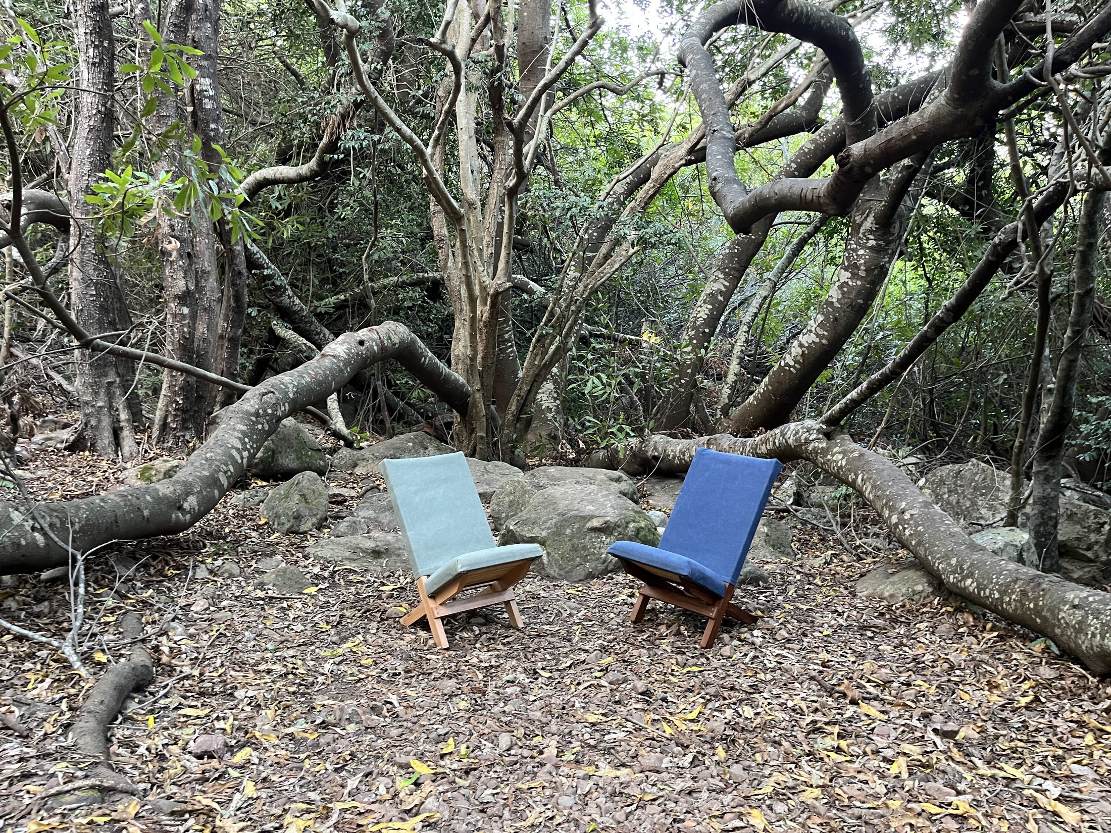 Two wooden folding chairs facing each other in a forest clearing